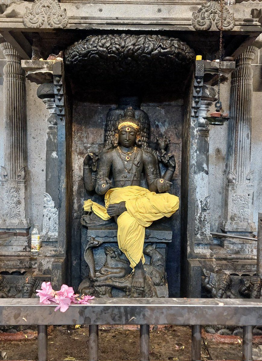 Beautiful Dakshinamurty Mayuranathar temple Mayavaram Tamilnadu Heritage Stumbit